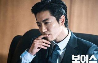 voice演员,声音的魅力与幕后故事