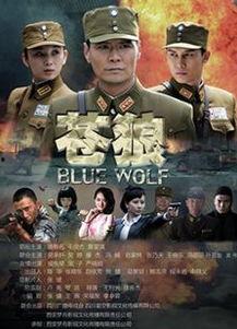 电视剧苍狼演员表,实力派明星齐聚一堂，演绎热血传奇