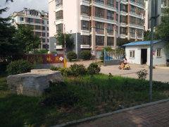 林苑图片,自然画卷中的宁静与和谐